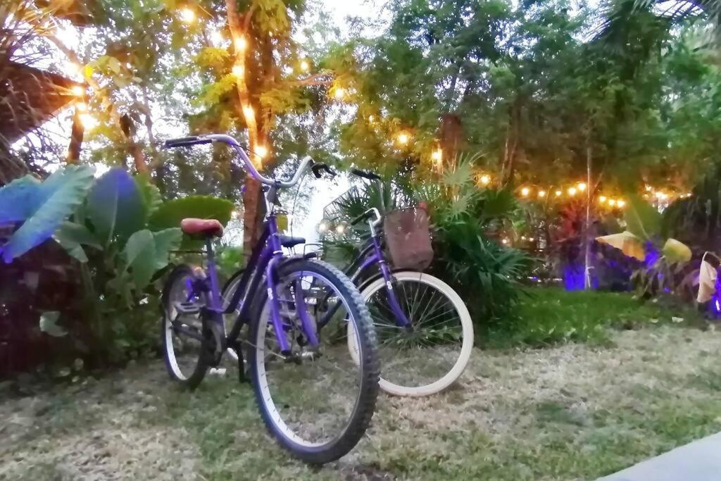 Dk31 Wifi 600Mb, Cheap Scooters By Moikkarentals Tulum Eksteriør bilde